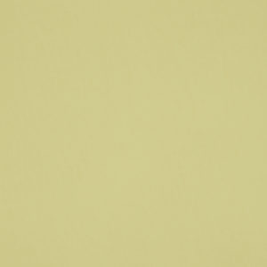 Polaris Blackout Standard Rollers Blind - Acid